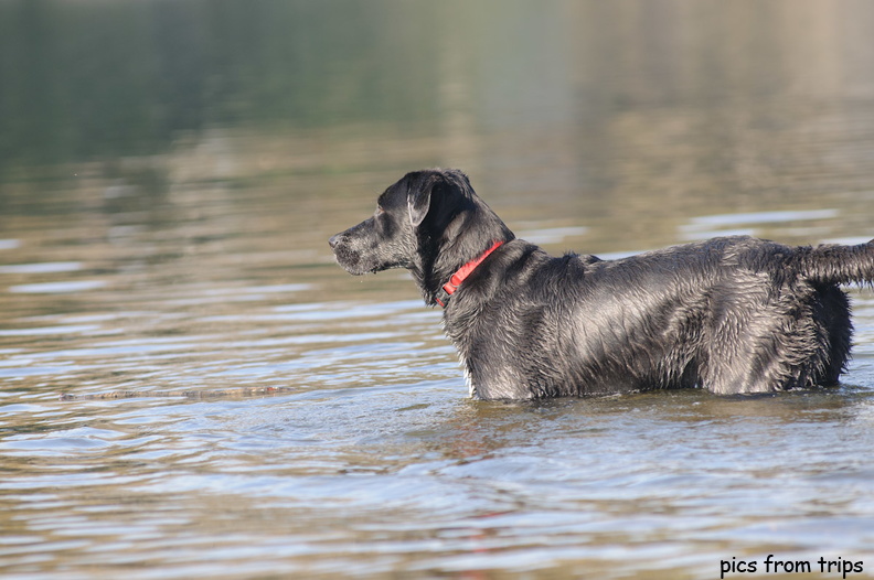 scanning the water2011d03c147.jpg